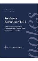Strafrecht. Besonderer Teil I: Delikte Gegen Den Einzelnen (Leib Und Leben, Freiheit, Ehre, Privatsphare, Vermogen)