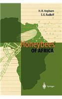 Honeybees of Africa