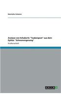 Analyse von Schuberts 