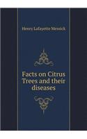 Facts on Citrus Trees and Their Diseases