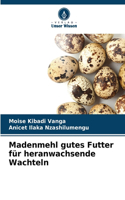 Madenmehl gutes Futter für heranwachsende Wachteln