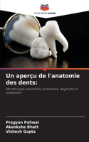 Un aperçu de l'anatomie des dents