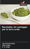 Bacchetta