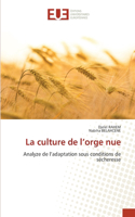 culture de l'orge nue