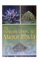 An Introduction to Minor Phyla