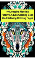 100 Amazing Mandala Patterns- Adults Coloring Book & Mind Relaxing Coloring Pages