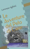 Le Avventure del Pelo di Cane