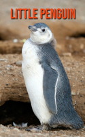Little Penguin: Amazing Facts about Little Penguin