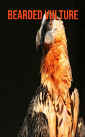 Bearded Vulture: Incredible Pictures and Fun Facts about Bearded Vulture