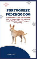 Portuguese Podengo Dog