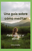 guía sobre cómo meditar