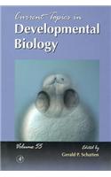 Current Topics in Developmental Biology: (Current Topics in Developmental Biology)