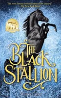 Harcourt School Publishers Collections: Chapter Book Grade 5 Black Stallion