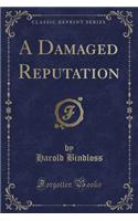 A Damaged Reputation (Classic Reprint)