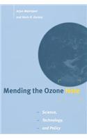 Mending the Ozone Hole