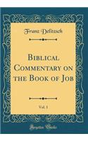 Biblical Commentary on the Book of Job, Vol. 1 (Classic Reprint)