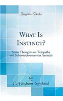 What Is Instinct?: Some Thoughts on Telepathy and Subconsciousness in Animals (Classic Reprint)