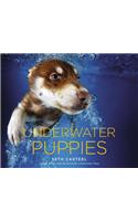 Underwater Puppies