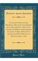 Concilios Provinciales Primero, y Segundo, Celebrados en la Muy Simple, y Muy Leal Ciudad de México, Presidiendo el Illmo. Y Rmo. Señor D. F. Alonso de Montúfar en los Años de 1555, y 1565 (Classic Reprint)