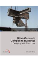 Steel-Concrete Composite Buildings