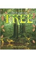 The Life Cycle of the Tree