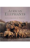African Elephants