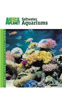 Setup and Care of Saltwater Aquariums