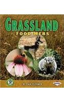 Grassland Food Webs