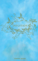 Intuition