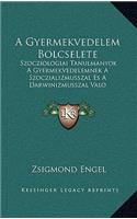 A Gyermekvedelem Bolcselete: Szocziologiai Tanulmanyok a Gyermekvedelemnek a Szoczializmusszal Es a Darwinizmusszal Valo Viszonyarol (1908)