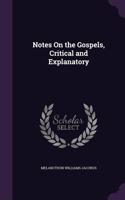 Notes On the Gospels, Critical and Explanatory: (English)