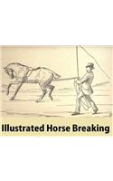 Illustrated Horse Breaking