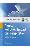 Aerosol Pollution Impact on Precipitation