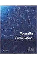 Beautiful Visualization