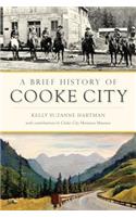 Brief History of Cooke City