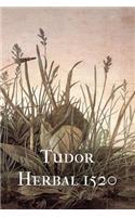 Tudor Herbal 1520