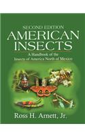 American Insects