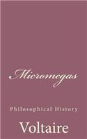 Micromegas: Philosophical History(English)