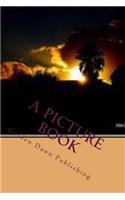 A Picture Book
