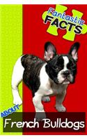 Fantastic Facts about French Bulldogs