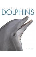 Dolphins