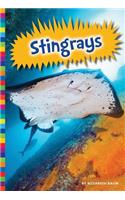 Stingrays