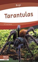 Tarantulas: (Bugs)