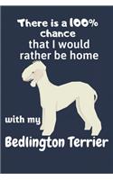 There is a 100% chance that I would rather be home with my Bedlington Terrier: For Bedlington Terrier Dog Fans