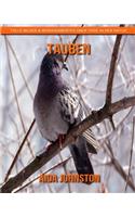 Tauben: Tolle Bilder & Wissenswertes über Tiere in der Natur