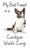 My best Friend is a Cardigan Welsh Corgi