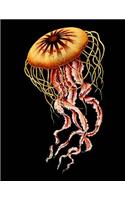 Jellyfish Sketchbook