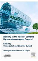 Mobility in the Face of Extreme Hydrometeorological Events 1