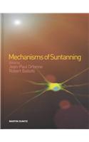 Mechanisms of Suntanning