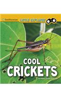 Cool Crickets